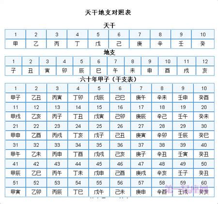 天干地支 生日